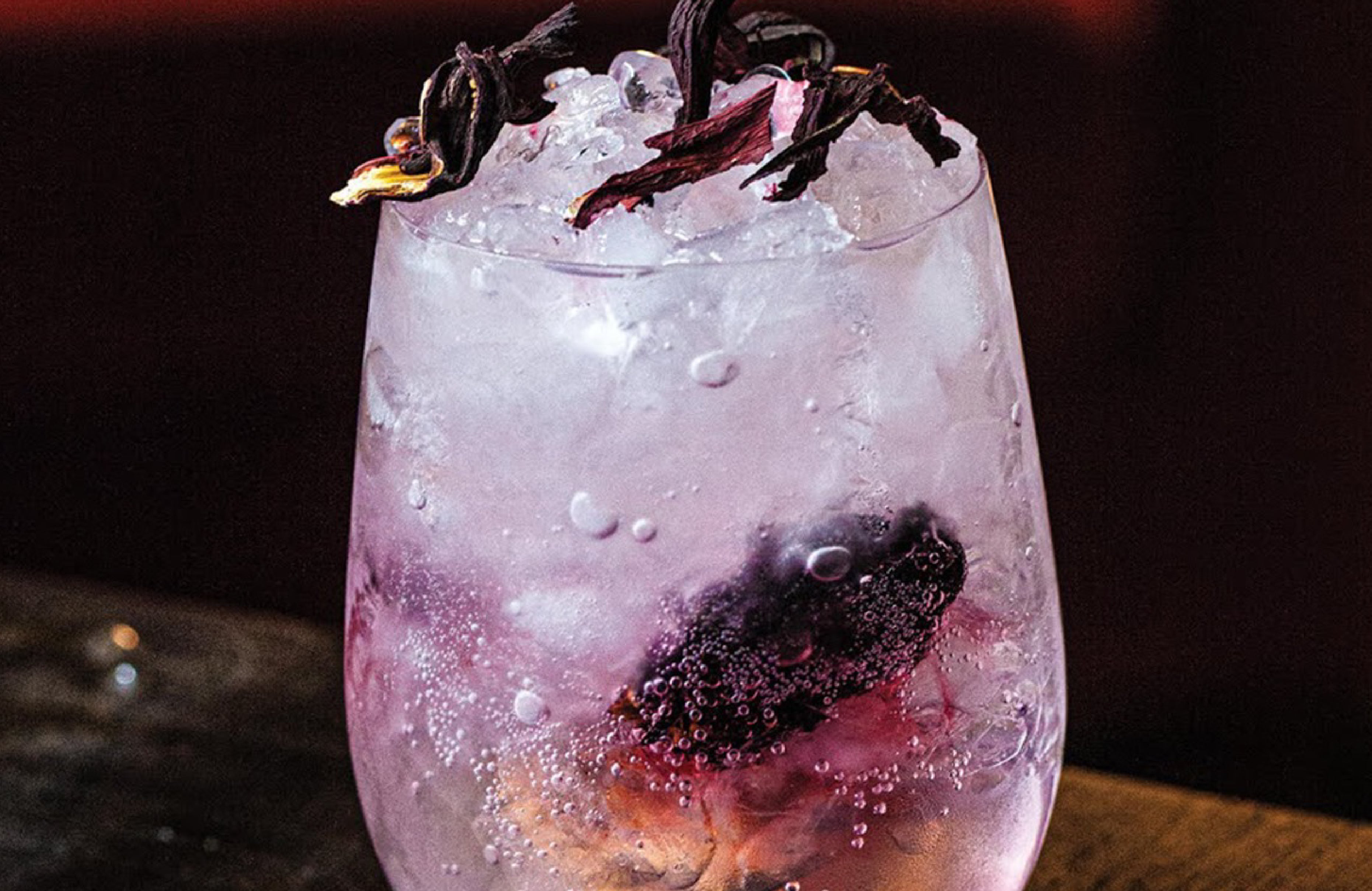 Adamus Gin Tonic with Hibiscus and Lemon Zest - find the recipe – ADAMUS